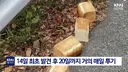 일본에서 난리난 기습 곰맘 시위