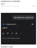 제미나이 이새끼 뭐임?.jpg