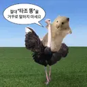 결착,성향,서양무기 세상엔사라져야할것들이많습니다.