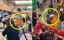카자흐 알마티 “전현무 촬영 지원”…나혼산 “조작 아냐, 즉흥여행 협찬 없었다” ???