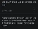 옆집 개가 너무 짖어서 항의하러 간 유저