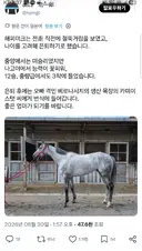 말딸,경마) 해피 미크 은퇴