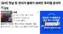 천솜향 벌래몰이 글 작성자가 몰랐던 한가지