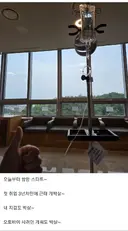 암으로 생명연장을 한 경우.jpg