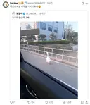 꽉 변호사 출근하는 모습 빨간약 공개됬네 ㄷㄷ