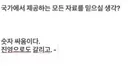 새덕후)관련 고양이문제는 이걸로 거의 끝난거같은데