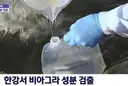 한강서 비아그라 성분 검출