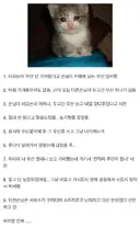 자영업이 진짜 힘든 이유