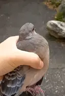 현실 궁기 솔격 성공