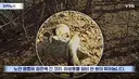 수십억 들여 숲 사놓고 아무것도 안한 이유.jpg