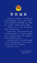 광저우 쇼핑몰 칼부림 (혐) (국내 언론 링크 추가)