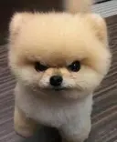 루리웹에 개추 취소 기능이 생겼대