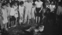 부산 상어 구경이 낯설지 않은 이유