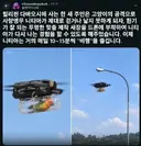 레딧 다친 앵무새 산책 시키기