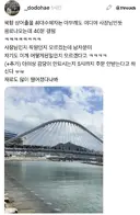 부산 북항 상어 출몰 현시점 최대 수혜자