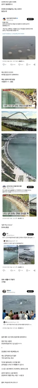 상어 출몰했다고 말 안 듣는 부산 시민들