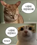 지금 배그 사태 한장요약