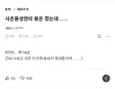 추석 용돈 5만원 반응