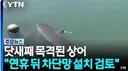 친수공원에 상어 차단망 설치해야 함.