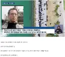 부산 상어 전문가 피셜