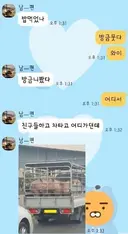 항문털 티비 교통사고 레전드