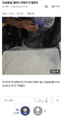 추석에 할머니 강냉이 털어버린 디시인