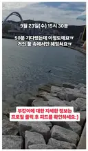 부산에 상어 보러가면 막상 실망스럽다는 부분
