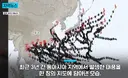 최근 3년간 태풍 근황