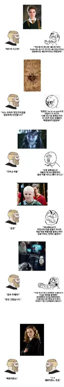 해리포터) 오역투성이인 한글 번역판