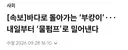 북항 상어 내일(29일) 돌려보낸다네