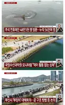 국립수산과학원 "부산 상어 먹이활동 없는 상태..".... 대책 회의