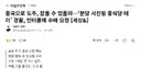 중국으로 도주, 잡을 수 있을까..분당 시진핑 중식당 테러' 경찰, 인터폴에 수배 요청