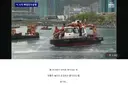 속보?) 부산 상어 강제 퇴거 중