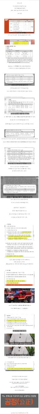 byd-테슬라 보조금 축소? "공정" 하지 않다는 유튜버