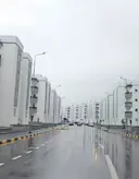 도시에 돈 들여서 가로수 설치하는 이유