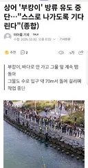 상어 '부캉이' 방류 유도 중단…