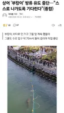 부산 상어, 부캉이 방류 유도 중단