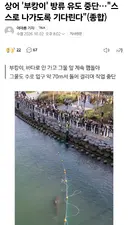 부캉이 스스로 나가도록 한다