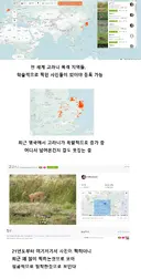 한국 중국에서만 살던 고라니 근황 ㄷㄷ