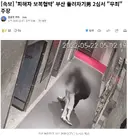 [속보] '피해자 보복협박' 부산 돌려차기男 2심서 "무죄" 주장