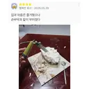 싱글벙글 하겐다즈 아이스크림 케이크 후기