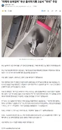 '피해자 보복협박' 부산 돌려차기男 2심서 무죄 주장