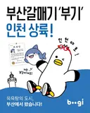 부산갈매기 '부기' 인천 상륙!