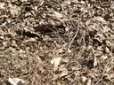 ㅅ력 테스트