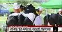 유방 40점, 다리 25점, 외모 25점, 엉덩이 10점