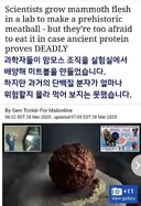 매머드 미트볼.jpg