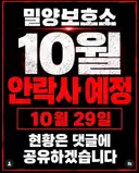 10월 29일 밀양보호소 안락사대상