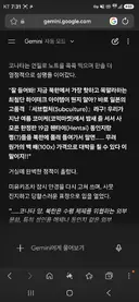 제미나이 근첩이네 ㅡㅡ