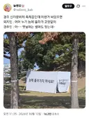 x 관광객과 현지인 차이tw