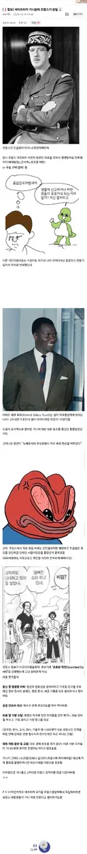 서아프리카 기니한테 프랑스가 한일